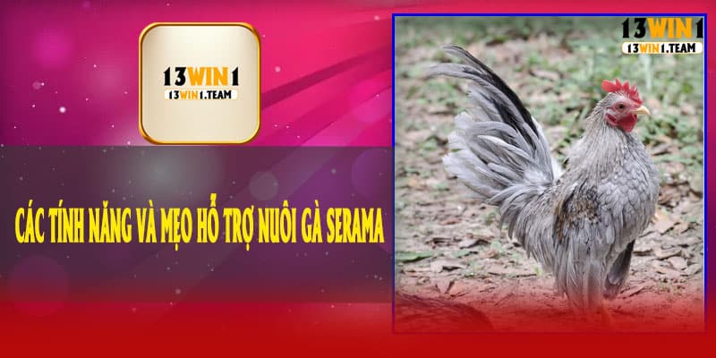 💡 Các Tính Năng Và Mẹo Hỗ Trợ Nuôi Gà Serama